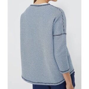 Tuckernuck Blue and White Striped Sweatshirt